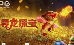 赏金国际vip登录入口桌面版客户端