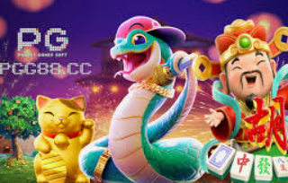 赏金国际vip登录入口